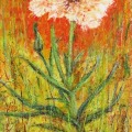 GoatsBeard_-JEvans